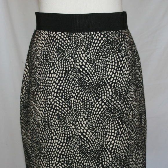 Ann Taylor Skirt 2 - Picture 3 of 3